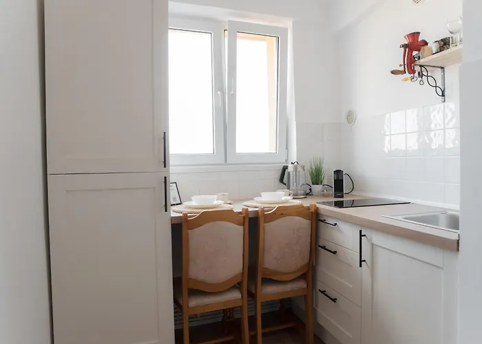 Studio Horea Cluj-Napoca